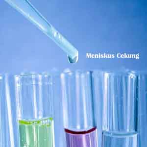 Apa Pengertian Meniskus Cembung Dan Cekung