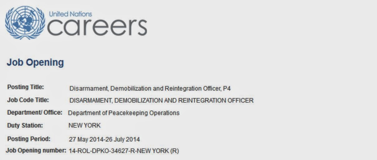UN+job+listing.jpg