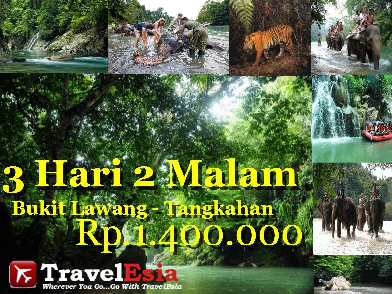 Paket Wisata Bukit Lawang - Tangkahan 3 Hari 2 Malam | Indonesia Tourism & Travel Information - Tour Package - Flight & Hotel Booking Search Engine