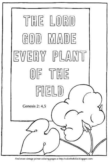 "God Made Every Plant..." primer coloring page | Color The Bible