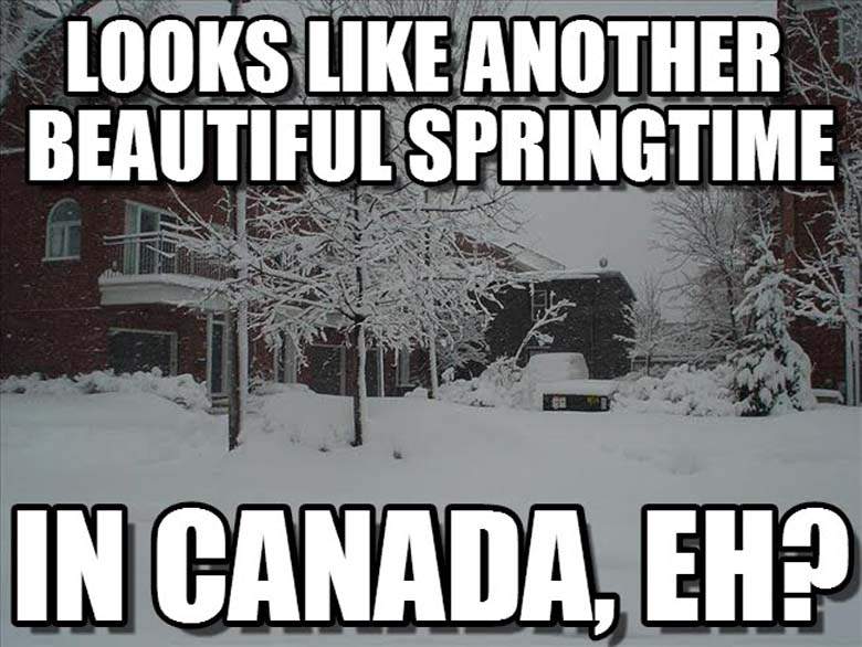 Canadian%2Bspring.jpg