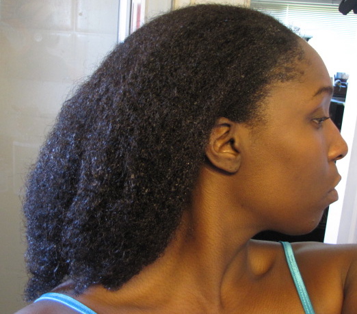 Natural Hairstyles On Wet Hair