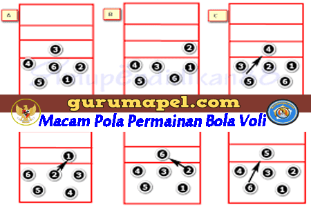 Pola Penyerangan Dan Contoh Pertahanan Bola Voli Kumpulan Soal Pelajaran 6