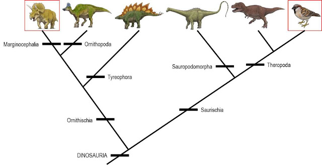 Resultado de imagen de cladograma dinosaurios