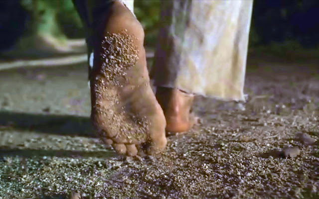 Anime Feet Catwoman Megapost Part 7 Movies Halle Berry Anime Feet Catwoman Megapost Part 7 Movies Halle Berry