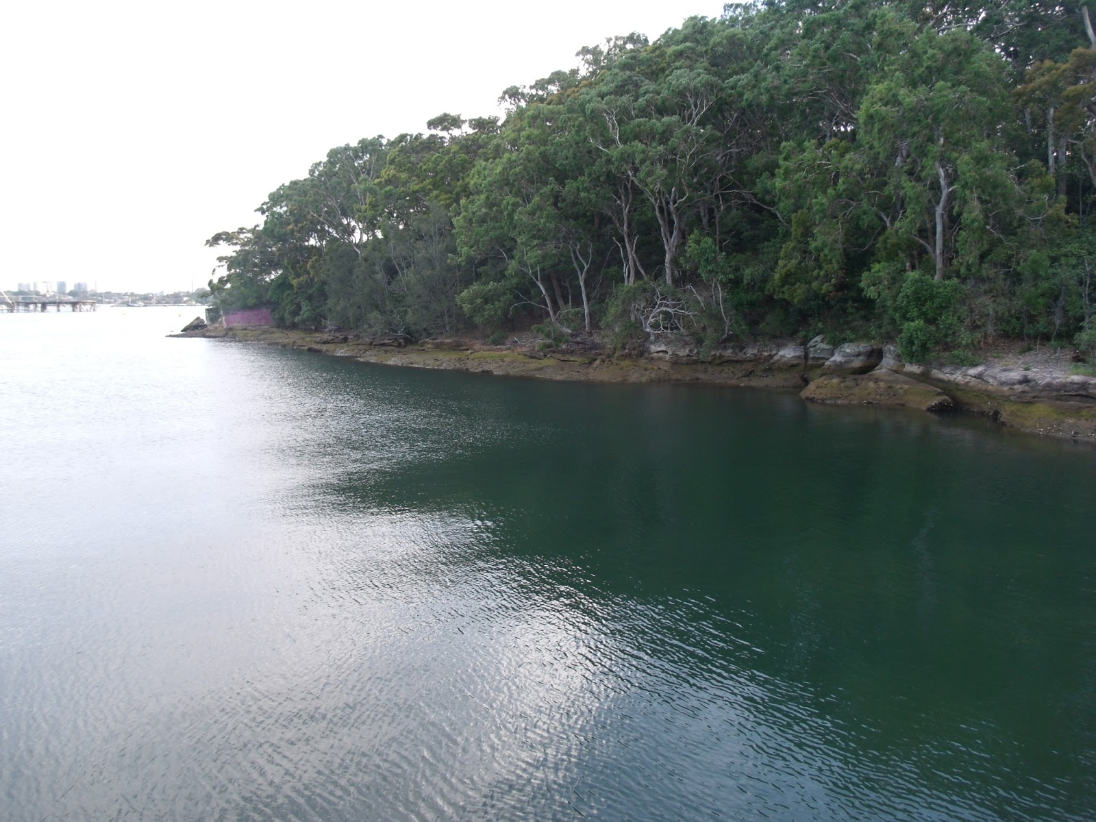 Sydney travel Sydney coastal walk and bush Walk