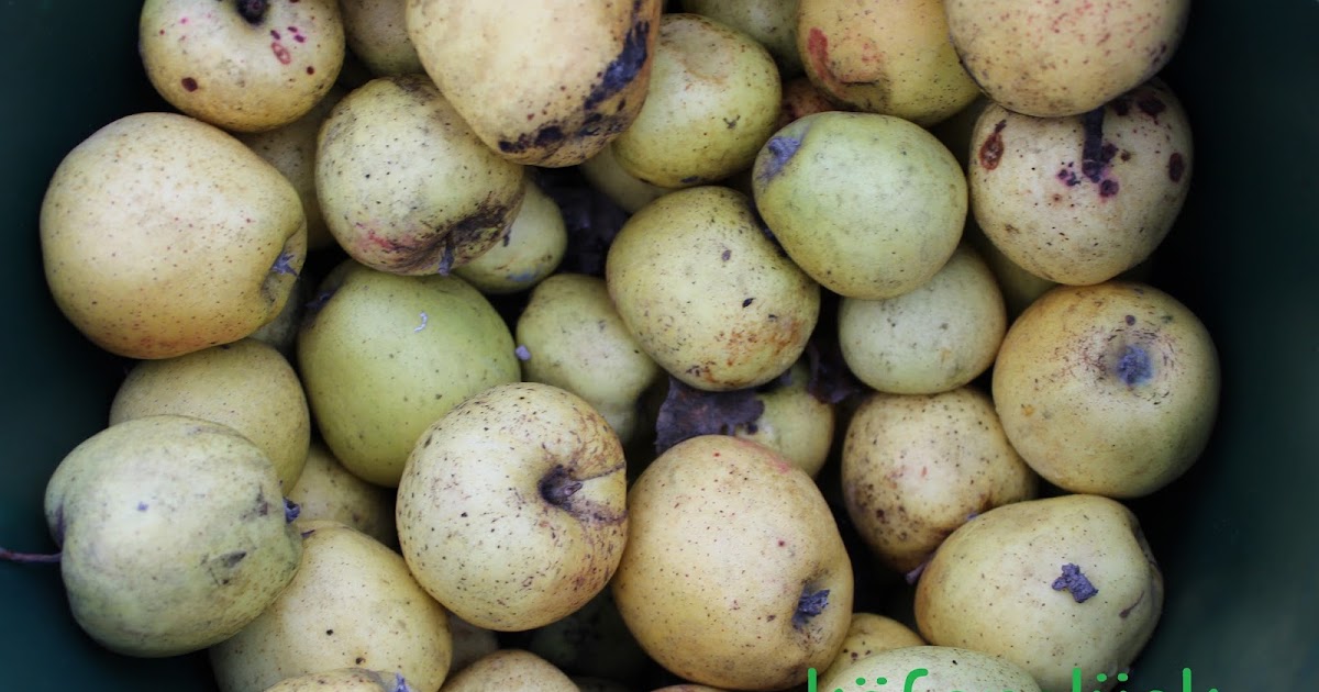 käferglück: Apfel-Zimt-Gelee und Apfelsirup