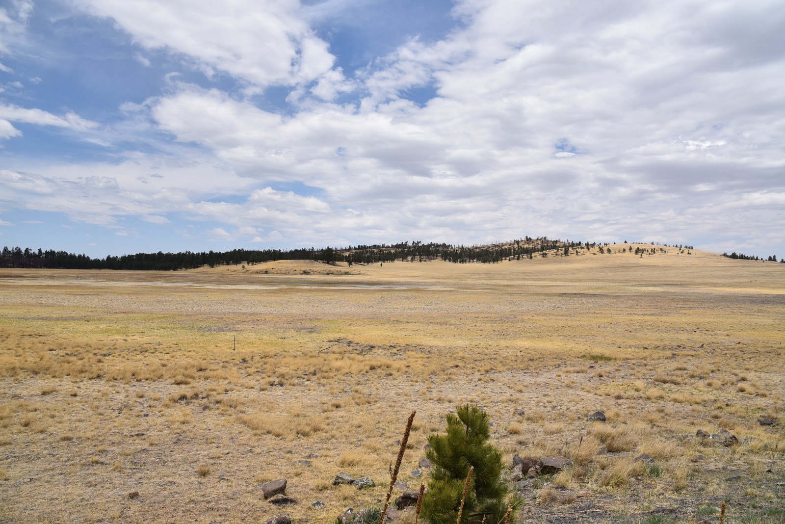 Arizona Hiking SOUTH FORK TRAIL