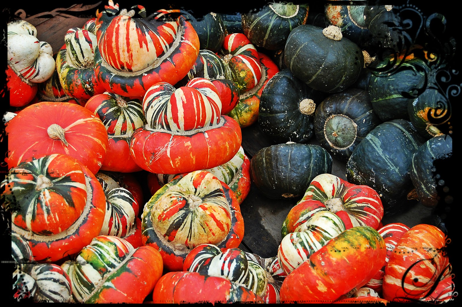 Donner la vie naturellement Centre d'interprétation de la courge • St