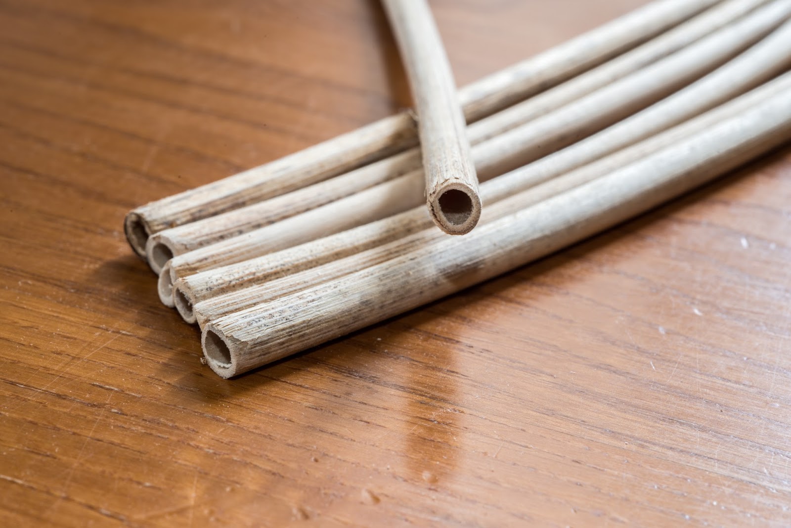 The 3 Foragers Foraging for Wild, Natural, Organic Food Japanese Knotweed Cooking and Recipes