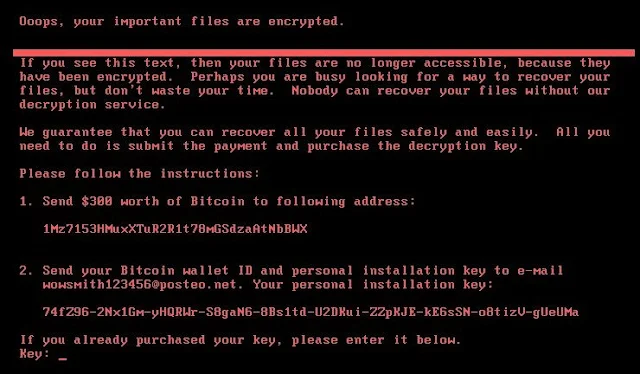 'Petya' is a Well-Planned Cyber 'Terror' Attack