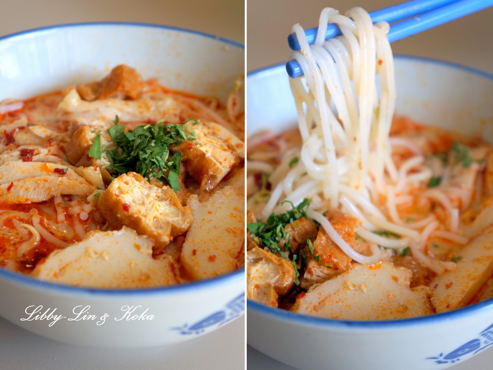 LibbyLin & Koka A Bowl of Chicken Laksa