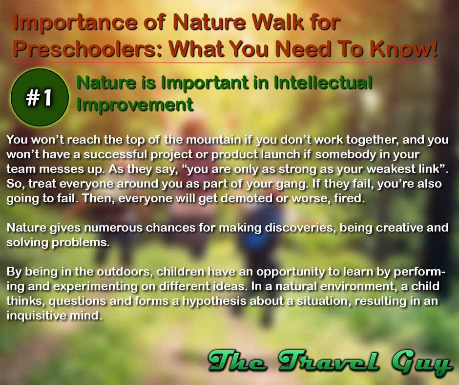The Travel Guy Importance of Nature Walk for Preschoolers