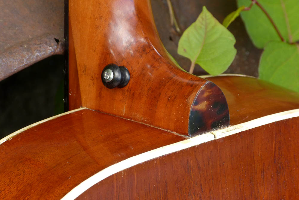 Epiphone Olympic Archtop Guitar Design