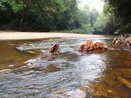 TAGAL SYSTEM FOR RIVERS