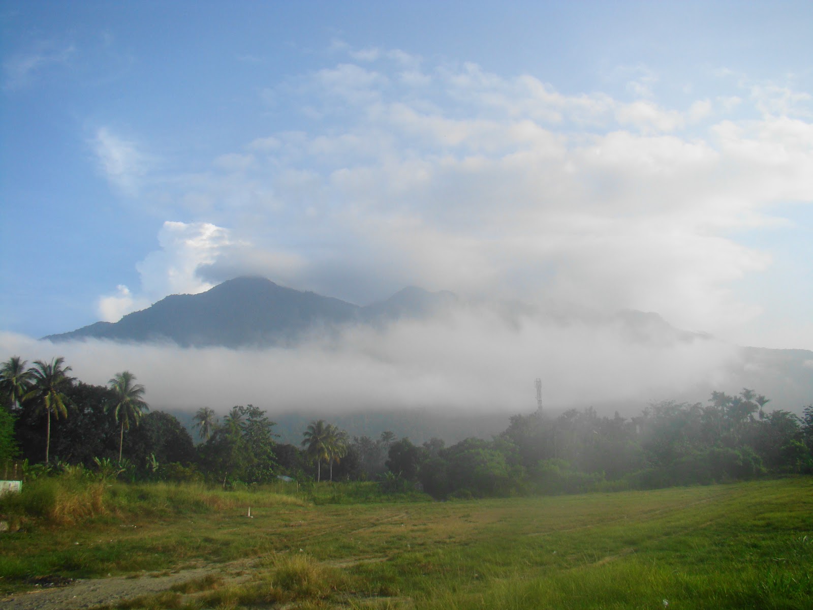 Gunung Dafonsoro atau Gunung Cyclops ~ Bumi Nusantara