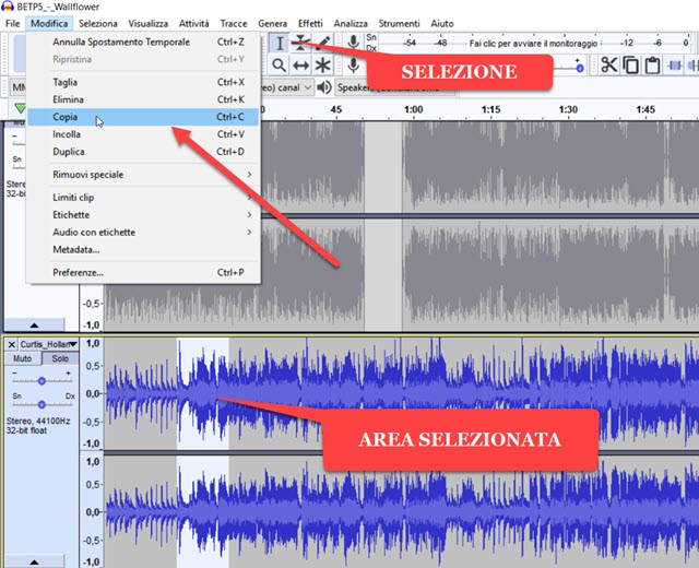selezionare-copiare selezionare-copiare