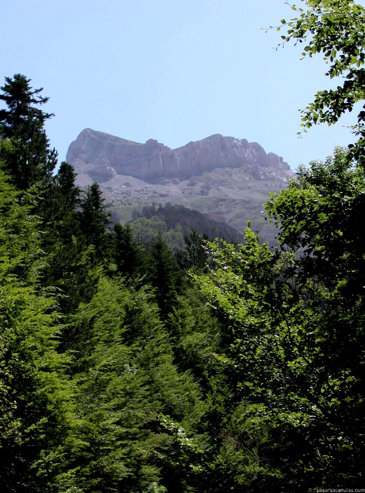 dibujos de river plate para pintar wallpapers real madrid wallpapers