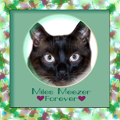 Miles Meezer Forever