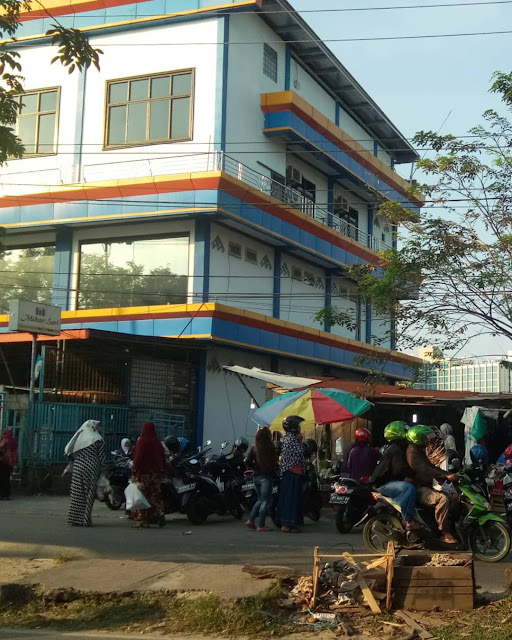 Kucing The Explorer With Hunting Pasar Balikpapan