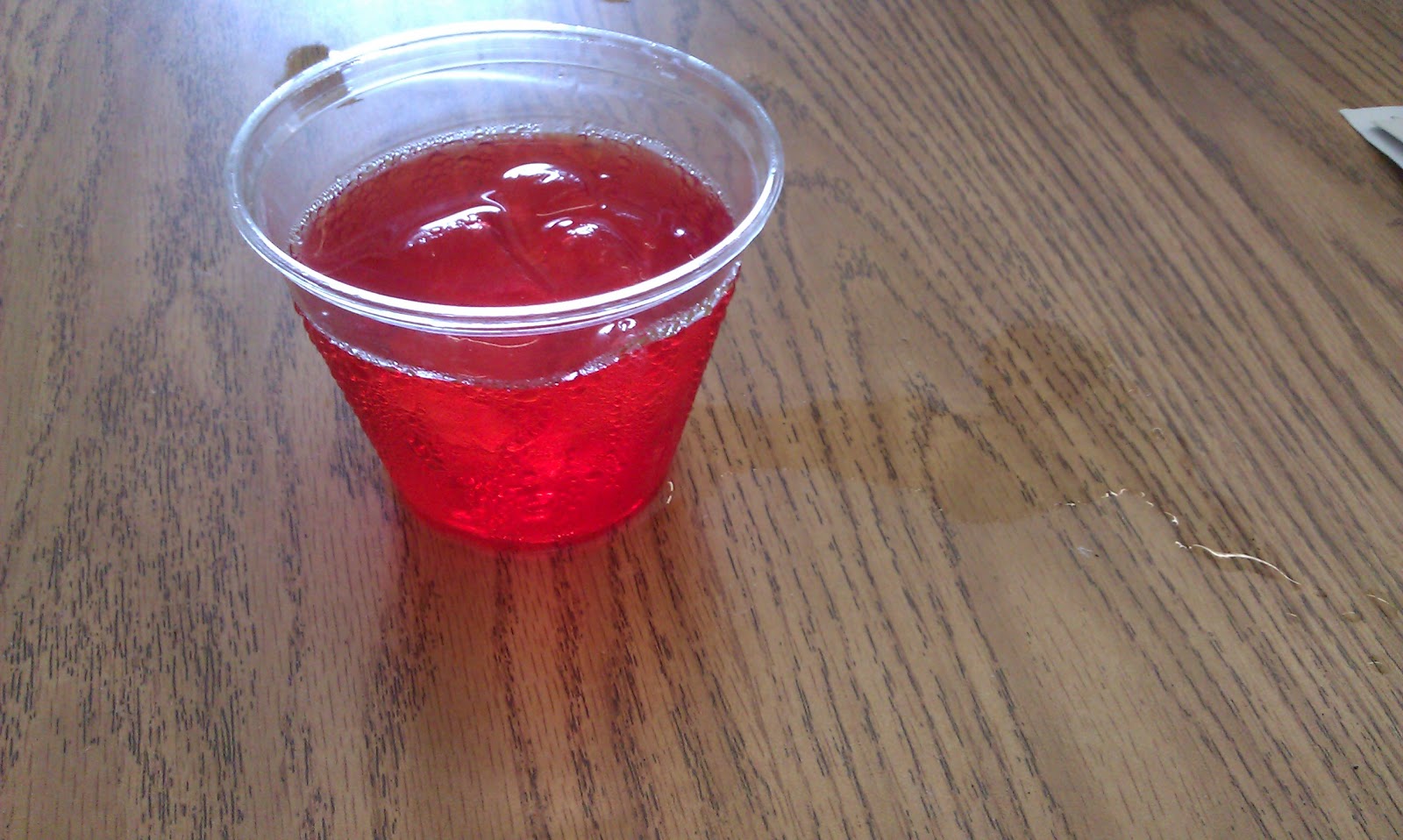 Fabulous Fifth Grade: Condensation Experiment