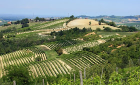 The Colli Tortonesi is a wine-growing region in Piedmont.