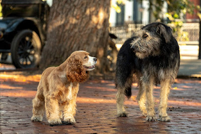 Lady And The Tramp 2019 Movie Image 3