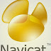 Navicat Premium 12.1.20 -Programas Via Torrent