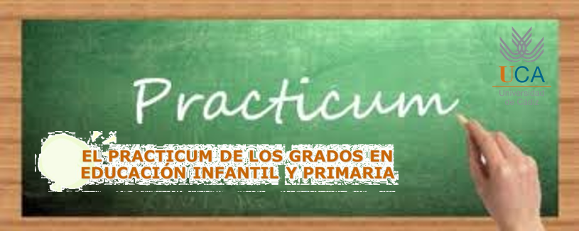 Practicum grado maestra/o