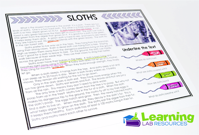 Kids love animals! Let them read about 20 different animals and complete the engaging reading comprehension activities. They won't even realize they're learning!