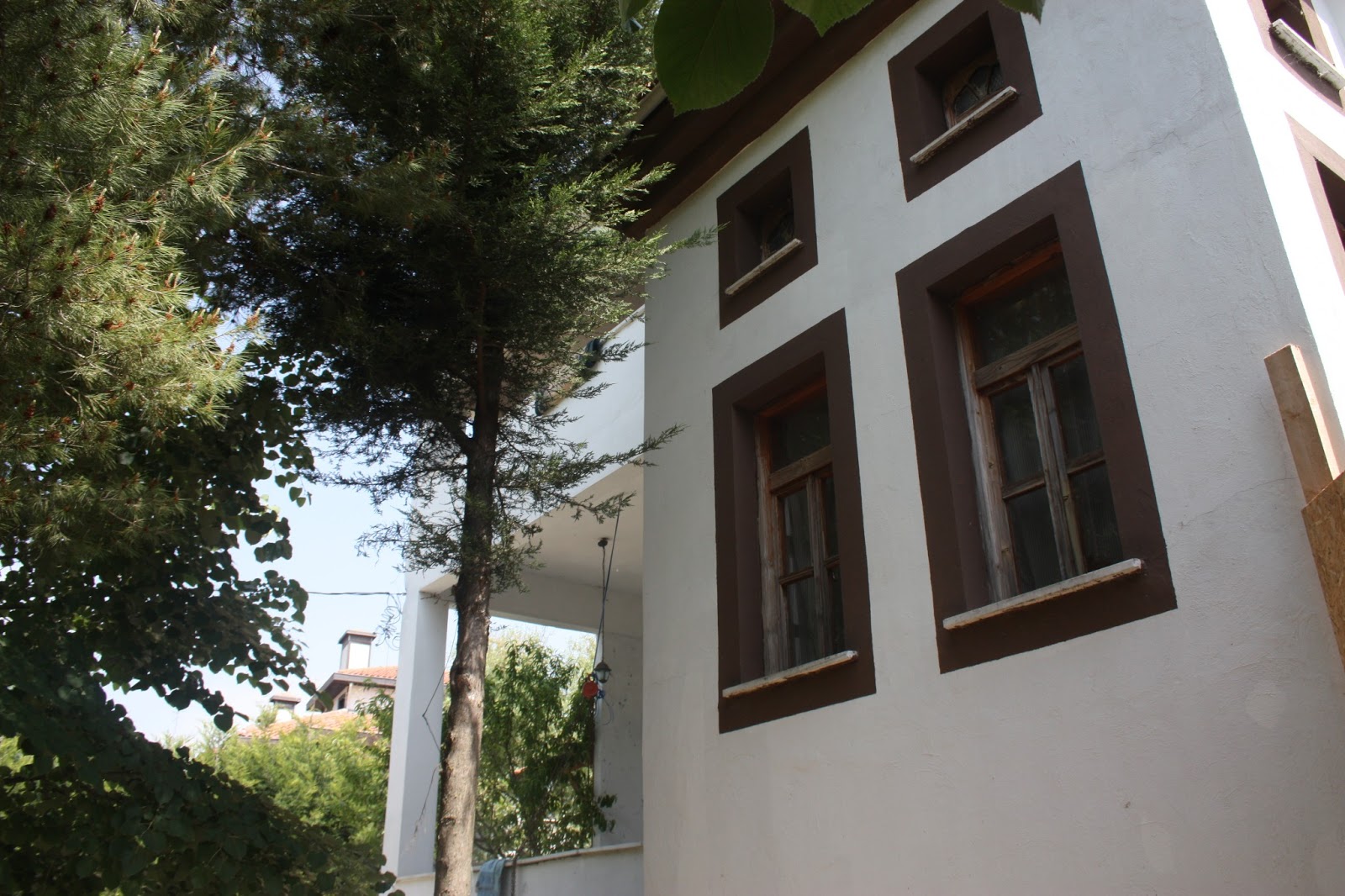 istanbul köpek oteli