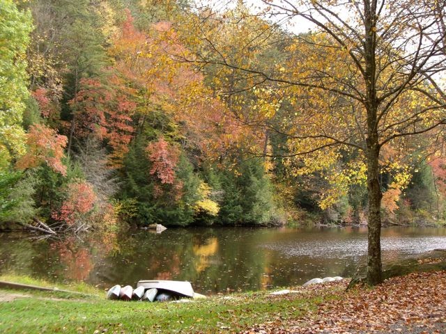 A Sense of Family: Fall's Glory Days - Wordless Wednesday