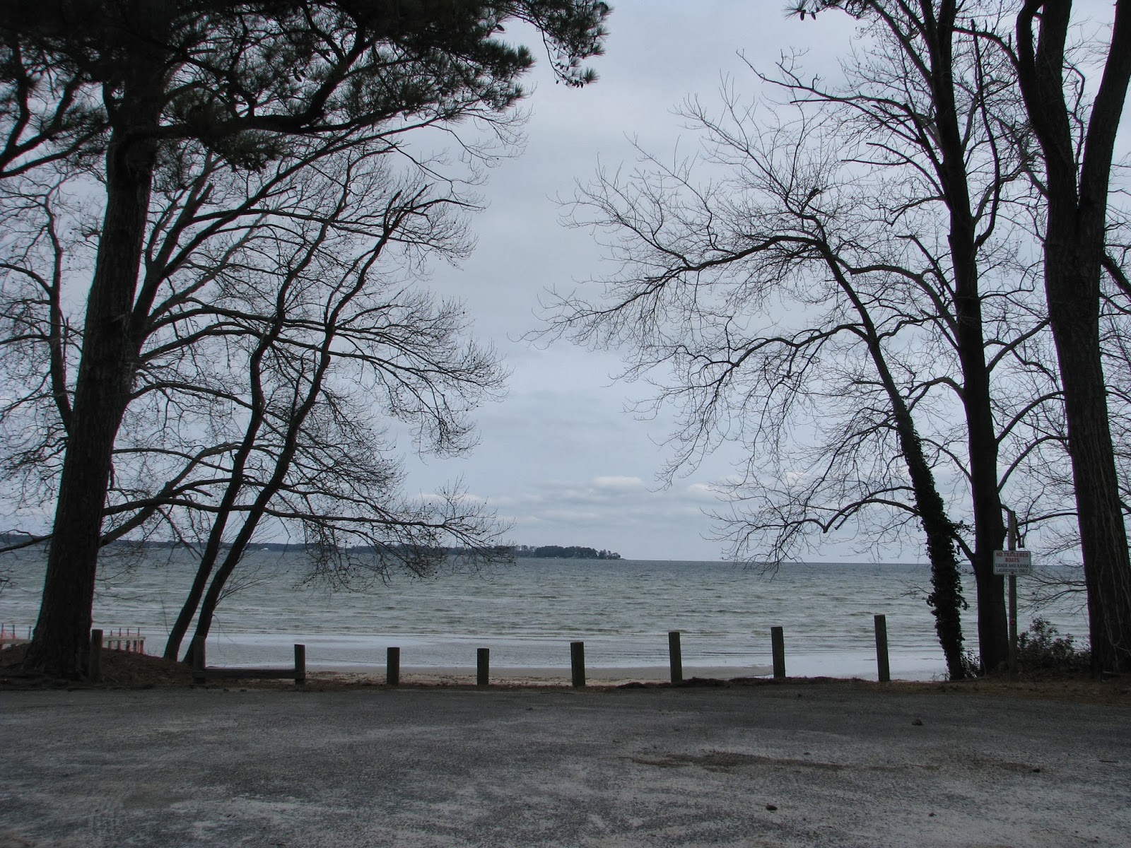 Life in Mathews Piankatank River