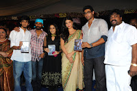 Three Audio Launch Gallery [Andhrula Music]