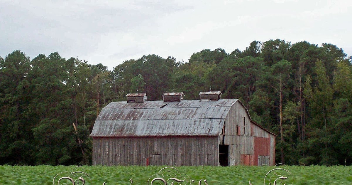 Betsy's Wildwood Home Barn Charm Maryland Barn