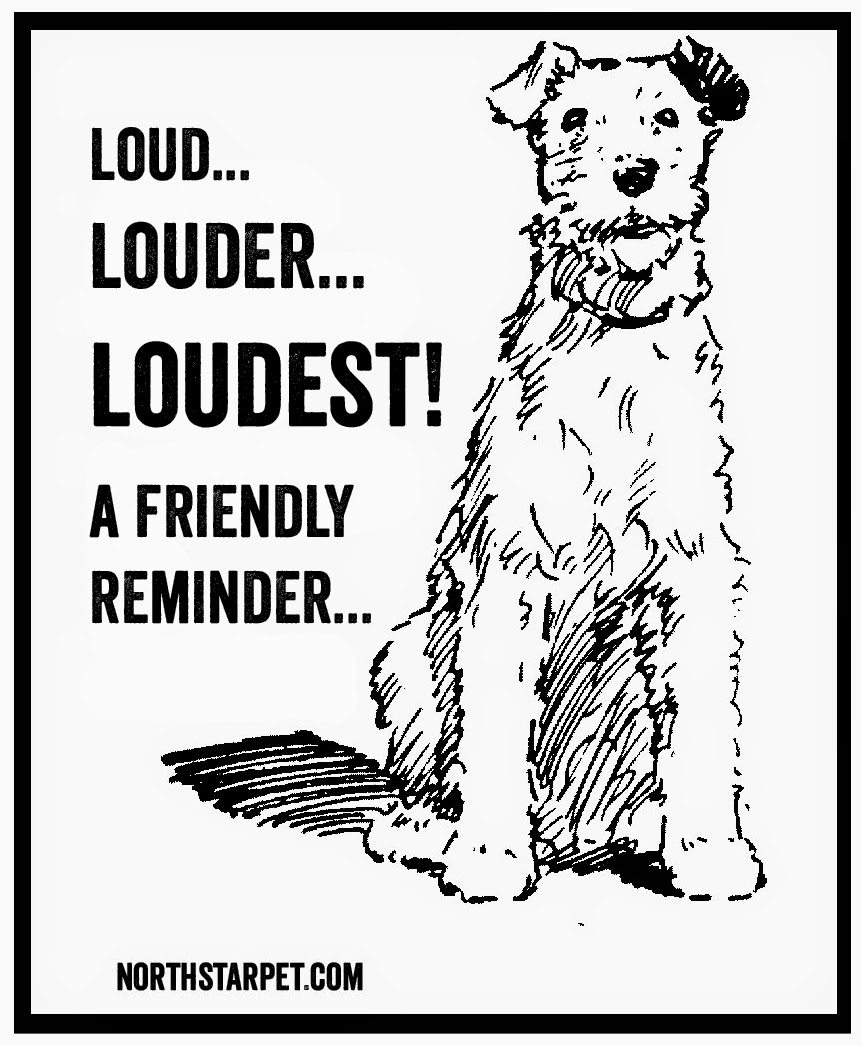 peaceable kingdom small dogs for adoption