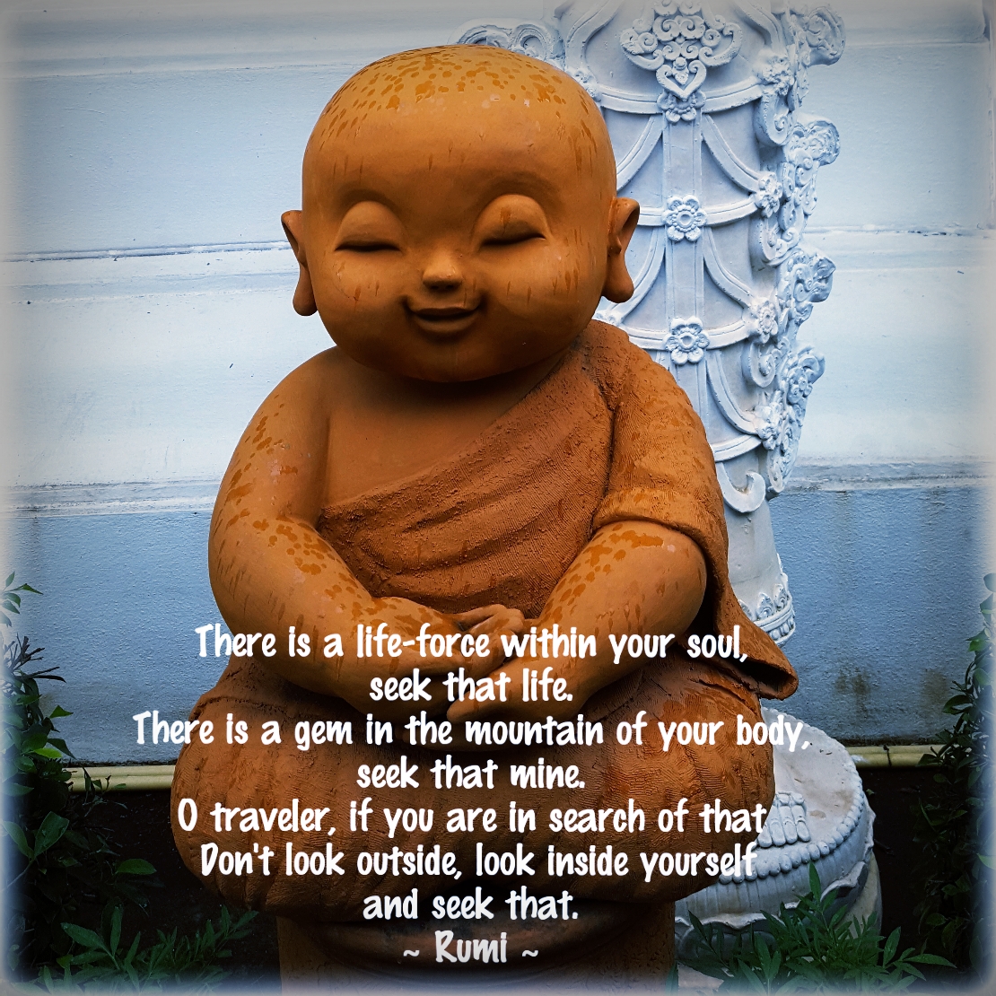 Overcome life: 10-Day Silent Meditation Retreat at Suan Mokkh - Part 1
