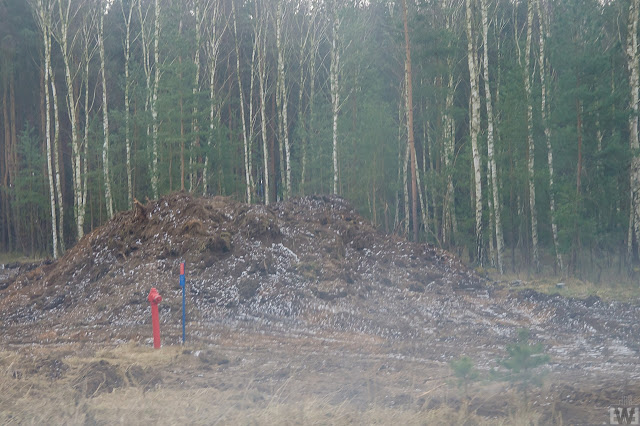 Rozbudowa ulicy Grunwaldzkiej w Bydgoszczy