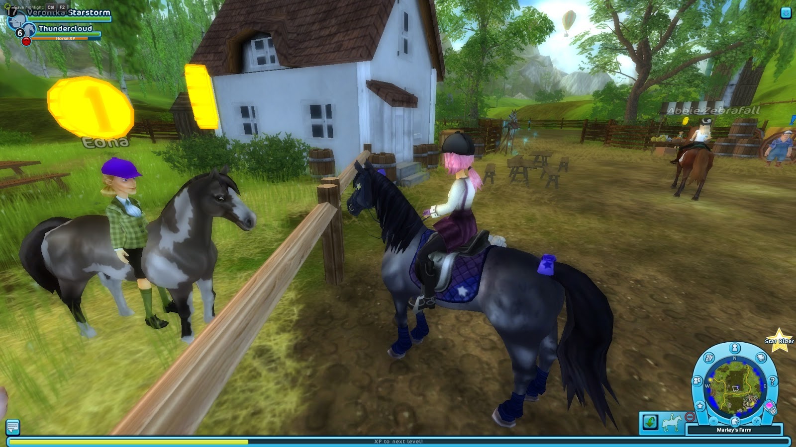 New American Paint Horses