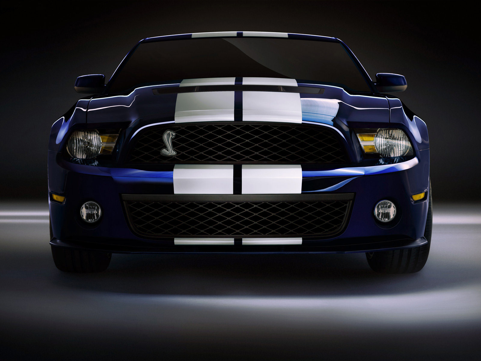 2010 FORD Mustang Shelby GT500