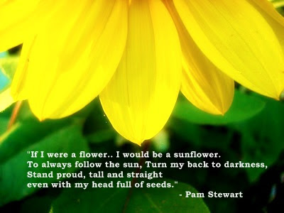Quotes Notes Top 8 Quotes On Sunflowers