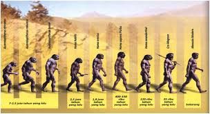 JENIS-JENIS MANUSIA PURBA : MEGANTHROPUS, PITHECANTHROPUS, HOMO SAPIENS