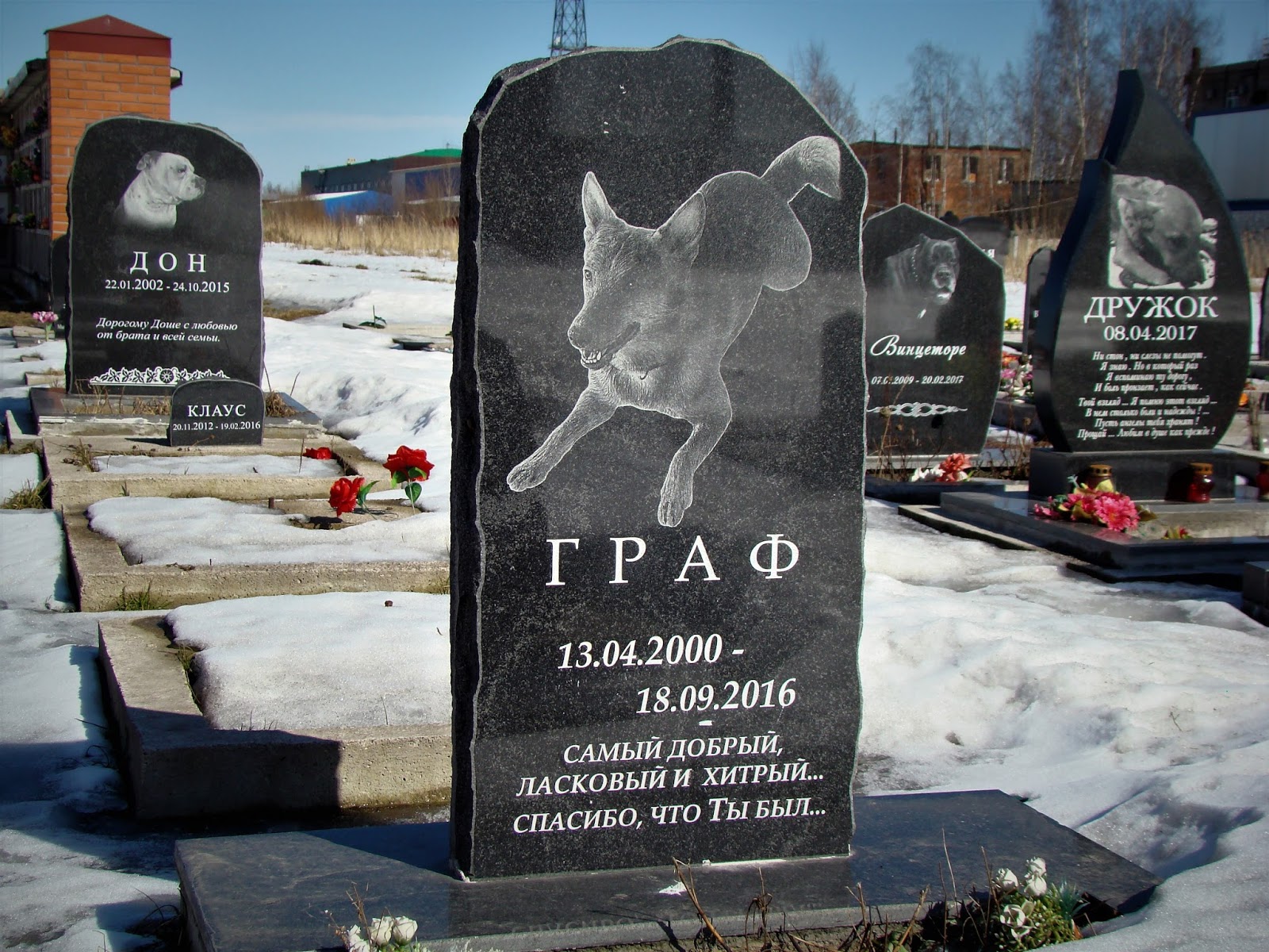 городское кладбище животных на электропультовцев 9 к4. собачье кладбище спб. кладбище животных спб адрес. городское кладбище животных в спб электропультовцев. городское кладбище животных в спб электропультовцев.