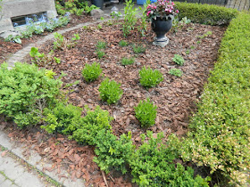 Cabbagetown Toronto front garden makeover after Paul Jung Gardening Services