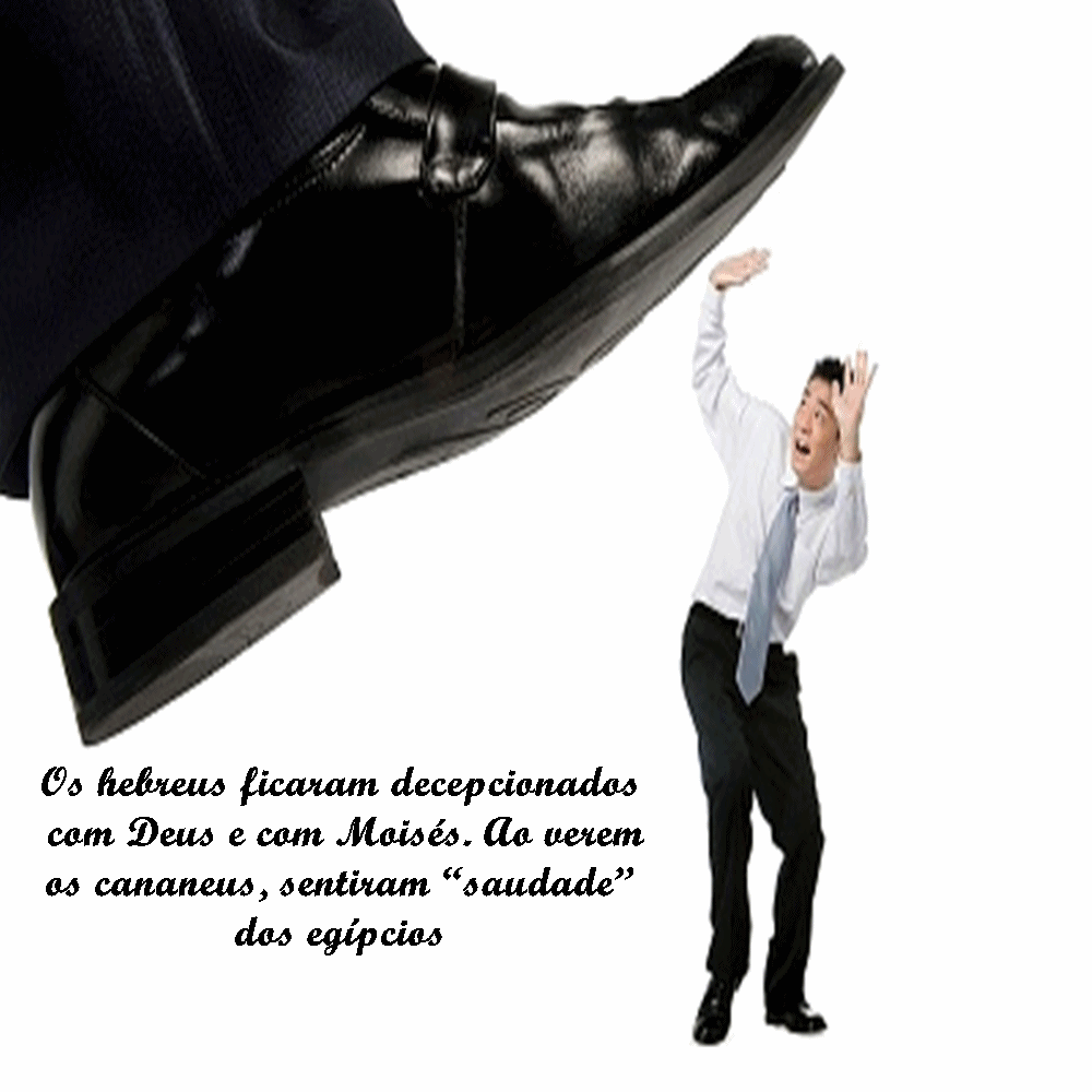 ven%C3%A7a.gif