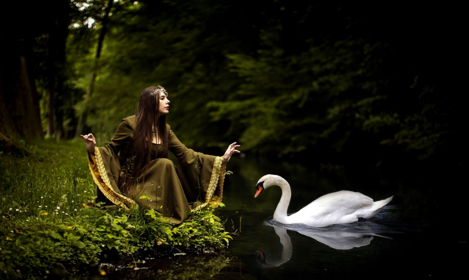 women swan fantasy art nature animals wallpaper and background