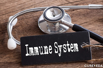  immune system supplements