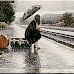 Yalnız,Tren Bekleyen Yolcu Kız,Hareketli Yağmur