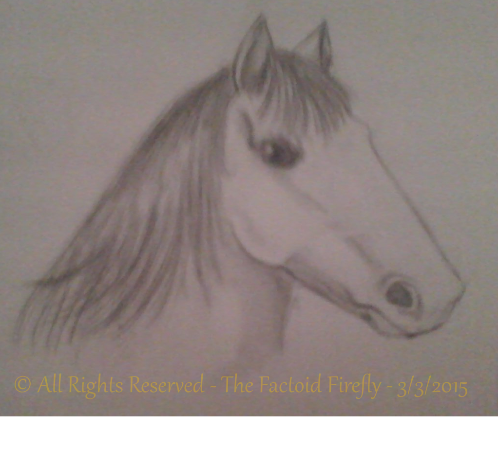 The Factoid Firefly {Digital Art} Horses' Head