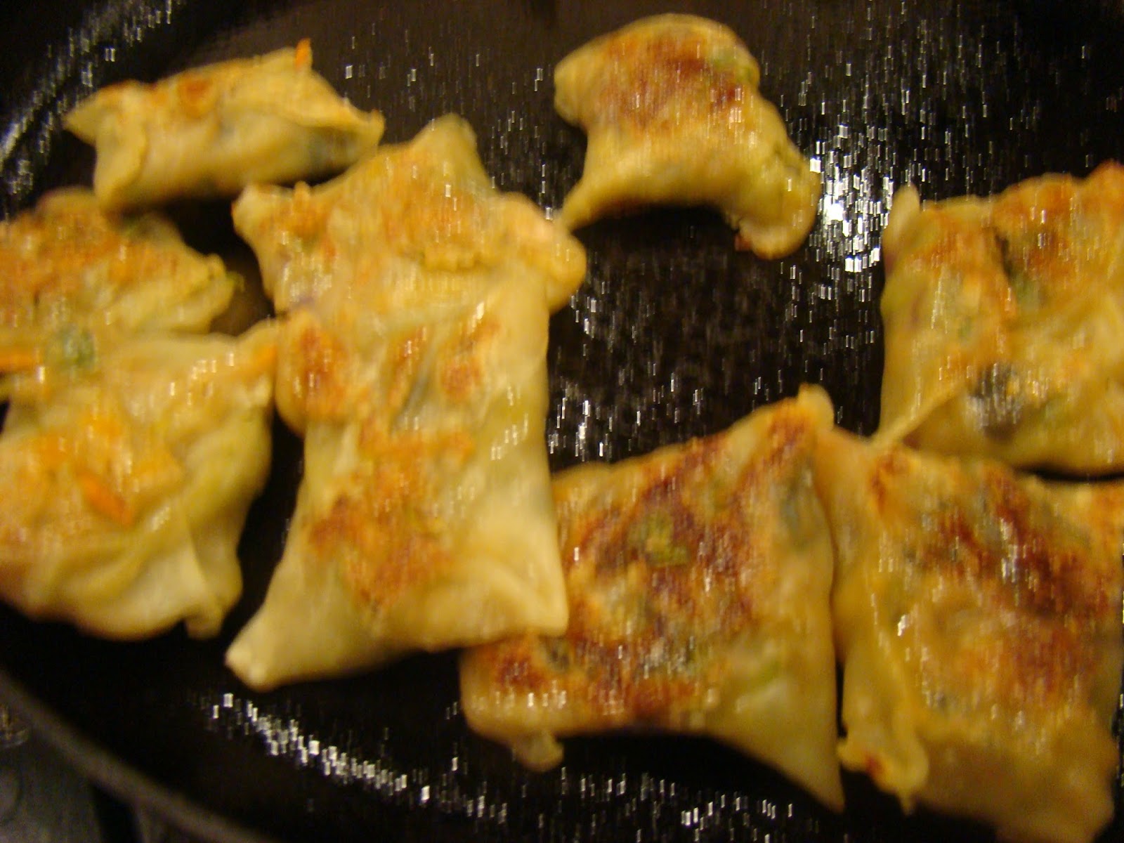 My Favorite Recipes Collection Vegetarian Potstickers with Cilantro